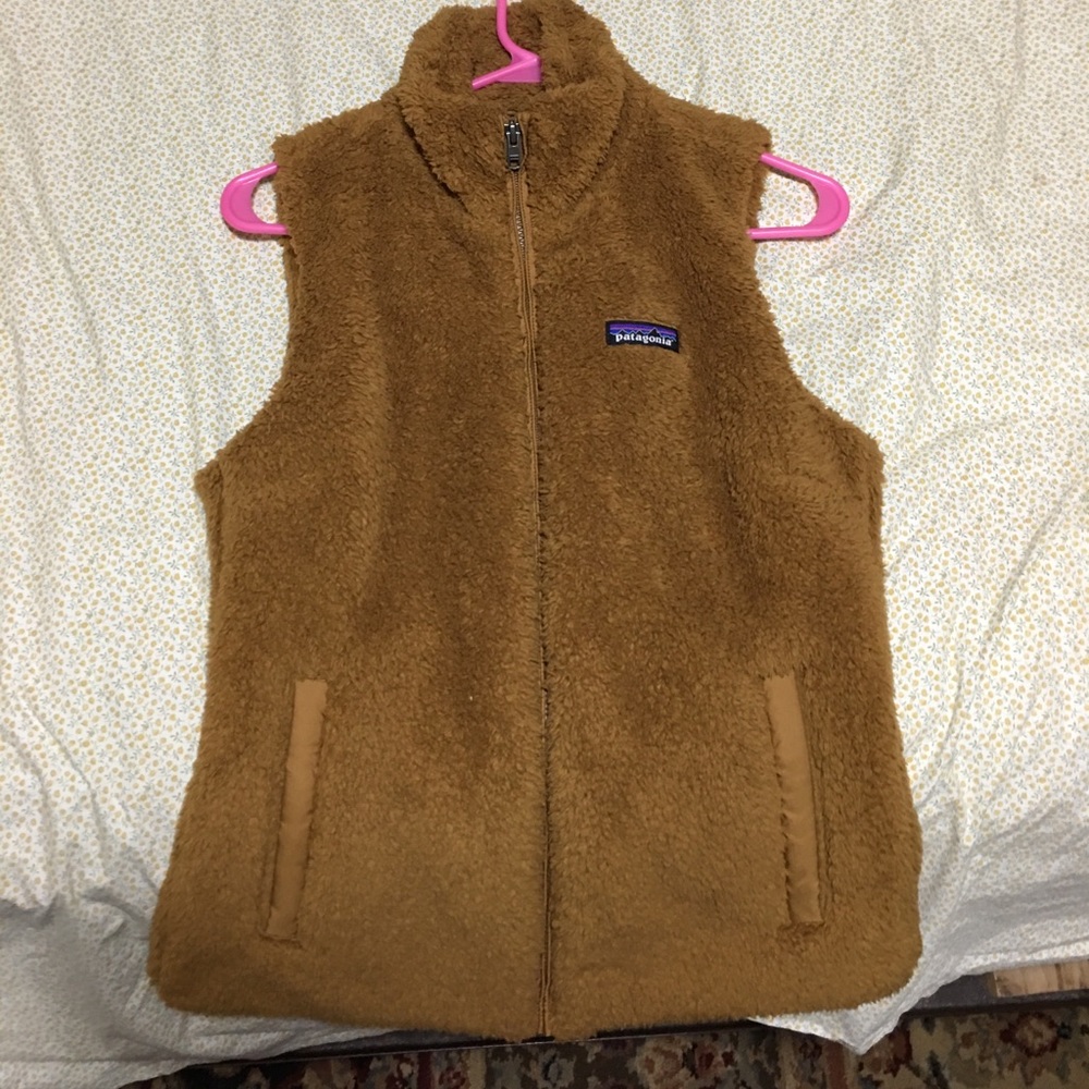 Patagonia Bear Brown Vest